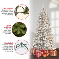 6 Ft. Pre-Lit Acacia Slim Tree With Clear Lights -Christmas Trees Sales AC100 300 60F Features