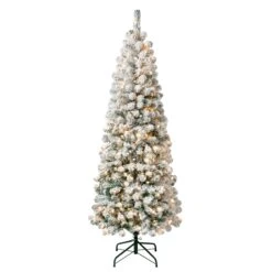 6 Ft. Pre-Lit Acacia Medium Flocked Tree With Clear Lights