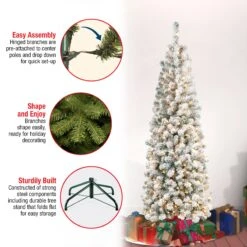 6 Ft. Pre-Lit Acacia Pencil Slim Flocked Tree With Clear Lights -Christmas Trees Sales AC100 304 60F Features
