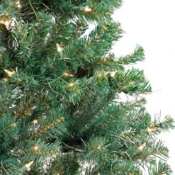 6 Ft. Pre-Lit Acacia Tree With Clear Lights -Christmas Trees Sales AC100 308 60 4