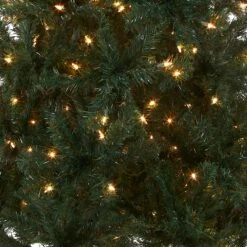 6 Ft. Pre-Lit Acacia Tree With Clear Lights -Christmas Trees Sales AC100 308 60 Silo C1