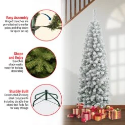 6 Ft. Acacia Pencil Slim Flocked Tree 10 6 Ft. Acacia Pencil Slim Flocked Tree -Christmas Trees Sales AC100 504 60F Features