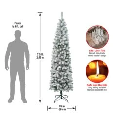7.5 Ft. Acacia Pencil Slim Flocked Tree -Christmas Trees Sales AC100 504 75F Dim