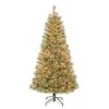 6 Ft. Pre-Lit Arcadia Pine Cashmere With Clear Lights