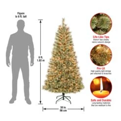 6 Ft. Pre-Lit Arcadia Pine Cashmere With Clear Lights 9 6 Ft. Pre-Lit Arcadia Pine Cashmere With Clear Lights -Christmas Trees Sales ARC100 300 60 Dim