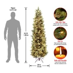 6.5 Ft. Pre-Lit Carolina Pine Slim Tree With Clear Lights 23 6.5 Ft. Pre-Lit Carolina Pine Slim Tree With Clear Lights -Christmas Trees Sales CAP3 330 65 Dim 19036aab 65f3 4ef4 8b36 039f377476e9