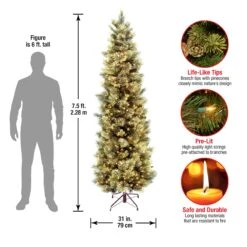 7.5 Ft. Pre-Lit Carolina Pine Slim Tree With Clear Lights 19 7.5 Ft. Pre-Lit Carolina Pine Slim Tree With Clear Lights -Christmas Trees Sales CAP3 330 75 Dim acaa2b71 05e4 4254 b247 bda508c50782