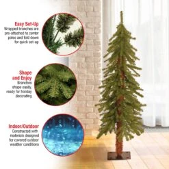 4 Ft. Hickory Cedar Tree 19 4 Ft. Hickory Cedar Tree -Christmas Trees Sales CED7 40 S Features fe6359c9 ab1d 48e4 82bd 2d6fd378916b