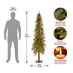 6 Ft. Pre-Lit Hickory Cedar Tree With Clear Lights 15 6 Ft. Pre-Lit Hickory Cedar Tree With Clear Lights -Christmas Trees Sales CED7 60LO S Dim b7a1f584 02f4 4e0c bad5 c8be85fd4fae