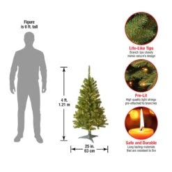 4 Ft. Pre-Lit Canadian Fir Tree With Clear Lights -Christmas Trees Sales CFG7 304 40 Dim 639b7574 799b 44e2 8bf4 65842a62cea2