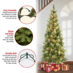 7.5 Ft. Pre-Lit Charleston Pine Slim Tree With Clear Lights 10 7.5 Ft. Pre-Lit Charleston Pine Slim Tree With Clear Lights -Christmas Trees Sales CHR3 304 75 Features