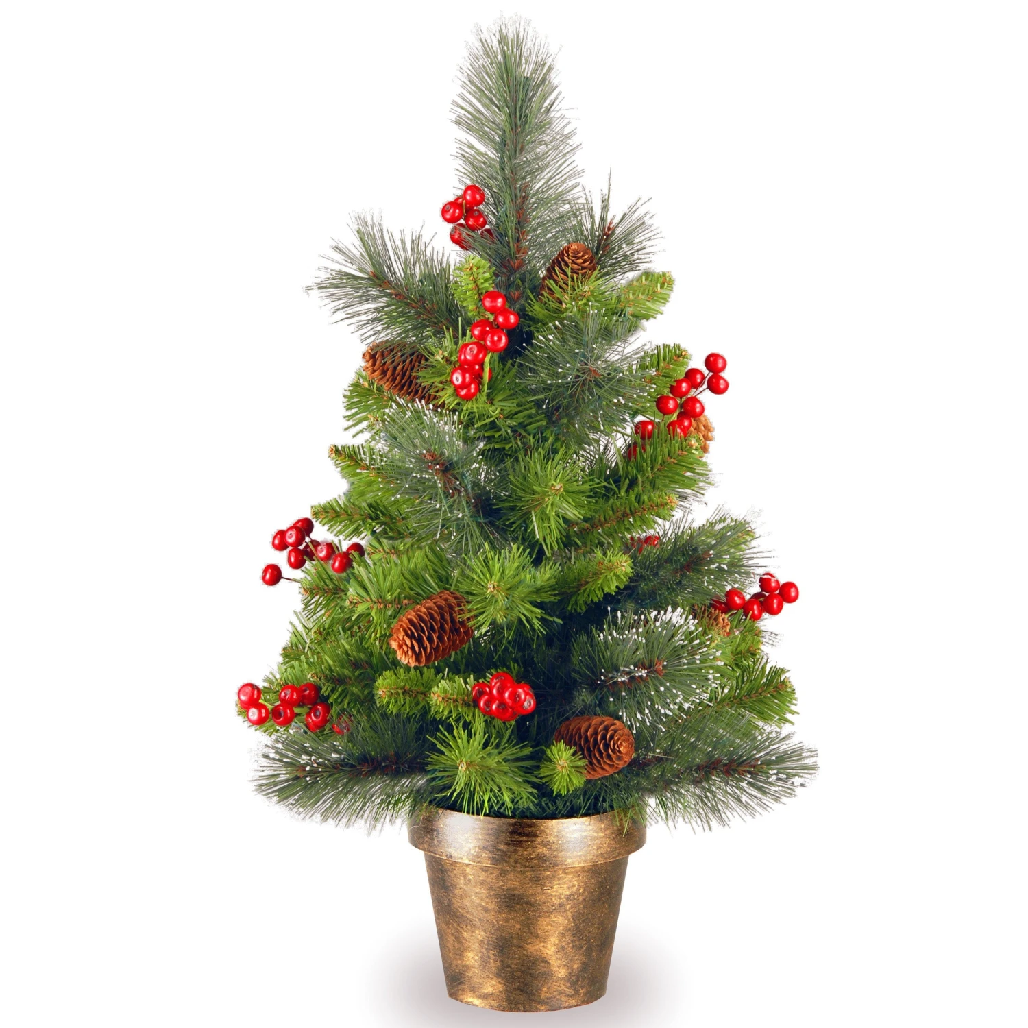 2 Ft. Crestwood Spruce Tree 3 2 Ft. Crestwood Spruce Tree - Image 3