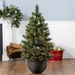 4ft. Glittery Crestwood Spruce Entrance Tree With Clear Lights 9 4ft. Glittery Crestwood Spruce Entrance Tree With Clear Lights -Christmas Trees Sales CWG2 306 40 2 ff81fdc5 325c 46e2 88c4 0595c1bc8c17