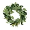 22 In. Spring Wreath With Eucalyptus Leaves, Magnolia Blooms, Flowing Green Stems