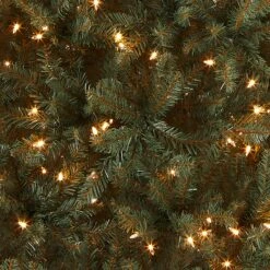 7.5 Ft. Pre-Lit Dunhill Fir Blue Tree With Clear Lights 13 7.5 Ft. Pre-Lit Dunhill Fir Blue Tree With Clear Lights -Christmas Trees Sales DUBH 75LO Silo C1