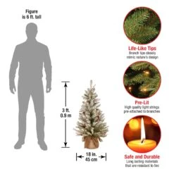 3 Ft. Pre-Lit Dunhill Fir Tree With Warm White LED Lights 18 3 Ft. Pre-Lit Dunhill Fir Tree With Warm White LED Lights -Christmas Trees Sales DUF 300 30 B1 Dim 218bae2b 4f0a 489f a868 4fcd0b566c79