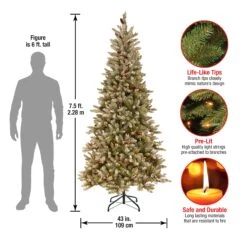 7.5 Ft. Pre-Lit Dunhill Fir Slim Tree With Clear Lights 12 7.5 Ft. Pre-Lit Dunhill Fir Slim Tree With Clear Lights -Christmas Trees Sales DUF 301 75 Dim