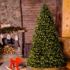 10 Ft. Pre-Lit Dunhill Fir Tree With Clear Lights 15 10 Ft. Pre-Lit Dunhill Fir Tree With Clear Lights -Christmas Trees Sales DUH 100LO S 2