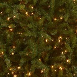 10 Ft. Pre-Lit Dunhill Fir Tree With Clear Lights 10 10 Ft. Pre-Lit Dunhill Fir Tree With Clear Lights -Christmas Trees Sales DUH 100LO S Silo C1