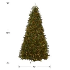 10 Ft. Pre-Lit Dunhill Fir Tree With Clear Lights 12 10 Ft. Pre-Lit Dunhill Fir Tree With Clear Lights -Christmas Trees Sales DUH 100LO S Silo Dim