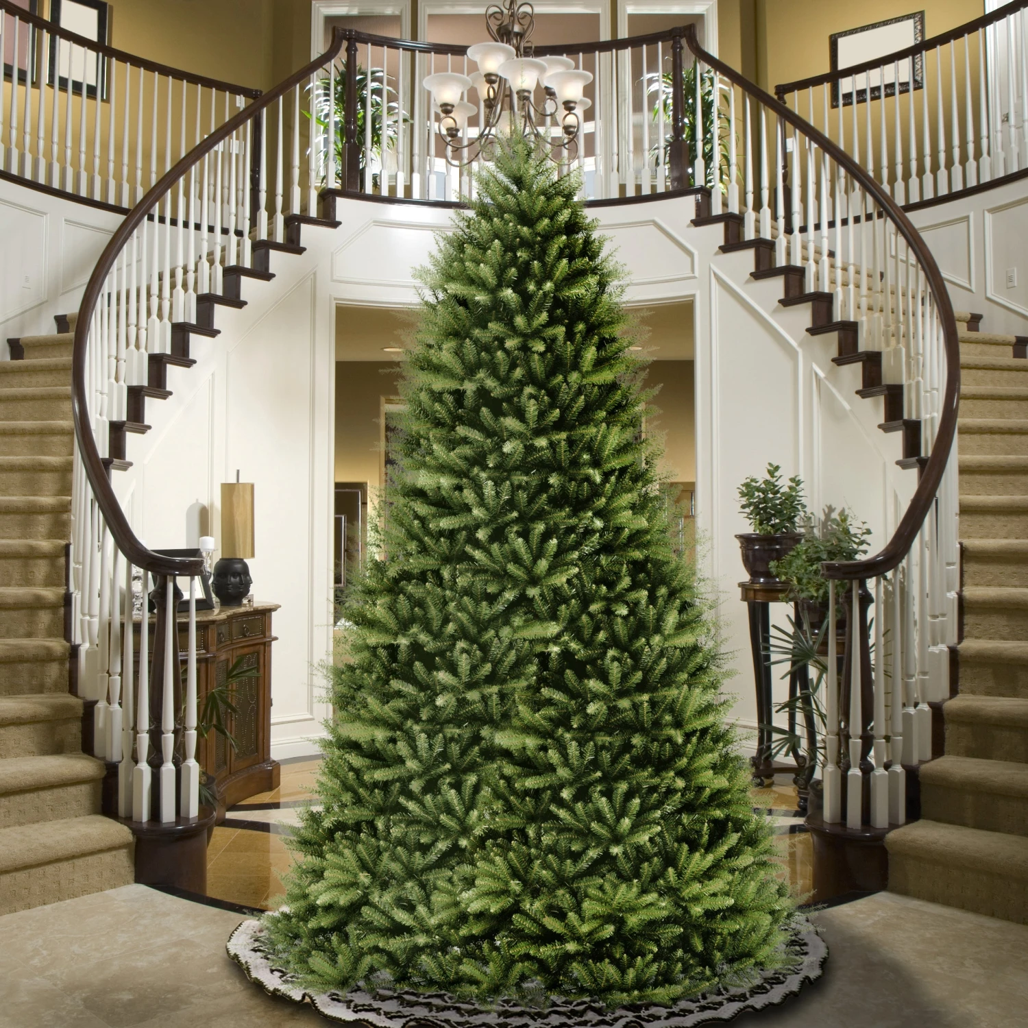 12 Ft. Dunhill Fir Tree 2 12 Ft. Dunhill Fir Tree - Image 2