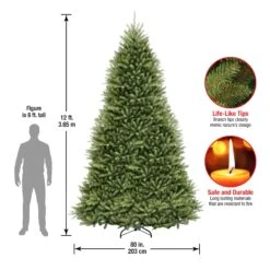 12 Ft. Dunhill Fir Tree 13 12 Ft. Dunhill Fir Tree -Christmas Trees Sales DUH 120 Dim 3797d57f e944 4c8b a4bc c718b0352669