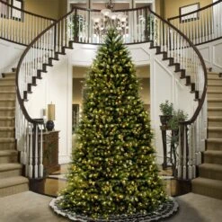 14 Ft. Dunhill Fir Tree With Clear Lights 9 14 Ft. Dunhill Fir Tree With Clear Lights -Christmas Trees Sales DUH 140LO S 2 dd40c112 01f5 43f6 b380 d00cf9aa1eaf