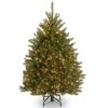 4 Ft. Pre-Lit Dunhill Fir Tree With Clear Lights