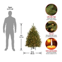 4 Ft. Pre-Lit Dunhill Fir Tree With Clear Lights -Christmas Trees Sales DUH 40LO Dim