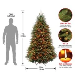 7 Ft. Pre-Lit Dunhill Fir Tree With Multicolor Lights 25 7 Ft. Pre-Lit Dunhill Fir Tree With Multicolor Lights -Christmas Trees Sales DUH 70RLO Dim 4f1a7c64 9e48 40a8 b648 cf203d4ca6cd