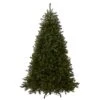 7 Ft. Dunhill Fir Tree