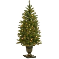 4 Ft. Pre-Lit Dunhill Fir Entrance Tree With Clear Lights