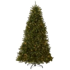 7.5 Ft. Pre-Lit Dunhill Fir Tree With PowerConnect Dual Color LED Lights 14 7.5 Ft. Pre-Lit Dunhill Fir Tree With PowerConnect Dual Color LED Lights -Christmas Trees Sales DUH3 D30 75 Silo