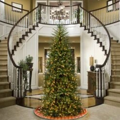 9 Ft. Pre-Lit Dunhill Fir Slim Tree With Clear Lights 11 9 Ft. Pre-Lit Dunhill Fir Slim Tree With Clear Lights -Christmas Trees Sales DUSLH1 90LO 2
