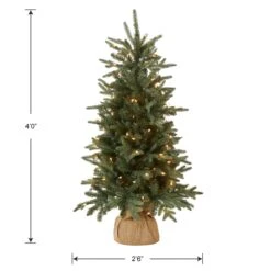 4 Ft. Pre-Lit Everyday Collection Tree With Clear Lights -Christmas Trees Sales ED3 300 40 Silo Dim
