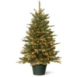 3 Ft. Pre-Lit Everyday Collection Tree With Clear Lights 14 3 Ft. Pre-Lit Everyday Collection Tree With Clear Lights -Christmas Trees Sales ED3 307 30