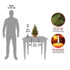 18 In.Everyday Collection Tree 7 18 In.Everyday Collection Tree -Christmas Trees Sales ED7 703 18 1 Dim