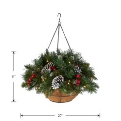 20 In. Pre-LitFrosted Berry Hanging Basket With LED Lights -Christmas Trees Sales FRB 20HLW B1 Silo Dim