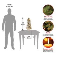 2 Ft. Pre-Lit Snowy Downswept Forest Tree With Clear Lights 15 2 Ft. Pre-Lit Snowy Downswept Forest Tree With Clear Lights -Christmas Trees Sales FTDF1 24ALO 1 Dim 109c51a2 000e 473e 9261 074111751bf8