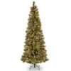 7.5 Ft. Pre-Lit Glittery Bristle Slim Tree With Clear Lights