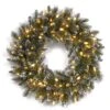 24 In. Pre-Lit Glittery Bristle Pine Wreath With Warm White LED Lights