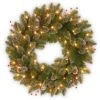 24 In. Pre-Lit Glittery Mountain Spruce With LED Lights