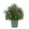 26 In. Pre-Lit HGTV Home Collection Black Tie Planter Filler
