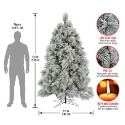 7.5 Ft. Pre-Lit Flocked Bavarian Pine Tree 15 7.5 Ft. Pre-Lit Flocked Bavarian Pine Tree -Christmas Trees Sales HGTFB13 300P 75 Dim