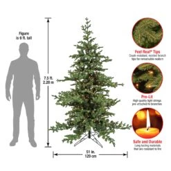 7.5 Ft. Pre-Lit Decorator Tree -Christmas Trees Sales HGTVD13 300P 75 Dim