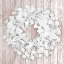 24 In. Winter Frost White Wreath 11 24 In. Winter Frost White Wreath -Christmas Trees Sales HH75 C220191N16 24W 2