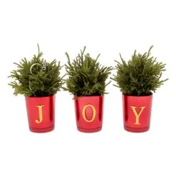 8 In. Christmas Joy Tabletop Card Holder Votive 3 Piece -Christmas Trees Sales HH75 C228074MU1 8T