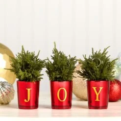 8 In. Christmas Joy Tabletop Card Holder Votive 3 Piece -Christmas Trees Sales HH75 C228074MU1 8T 2 696f1bda 9192 4236 baf0 13ab7ad92b57