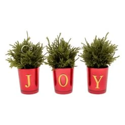 8 In. Christmas Joy Tabletop Card Holder Votive 3 Piece -Christmas Trees Sales HH75 C228074MU1 8T 2cbf89dc e12d 4853 948c 3735d820f253