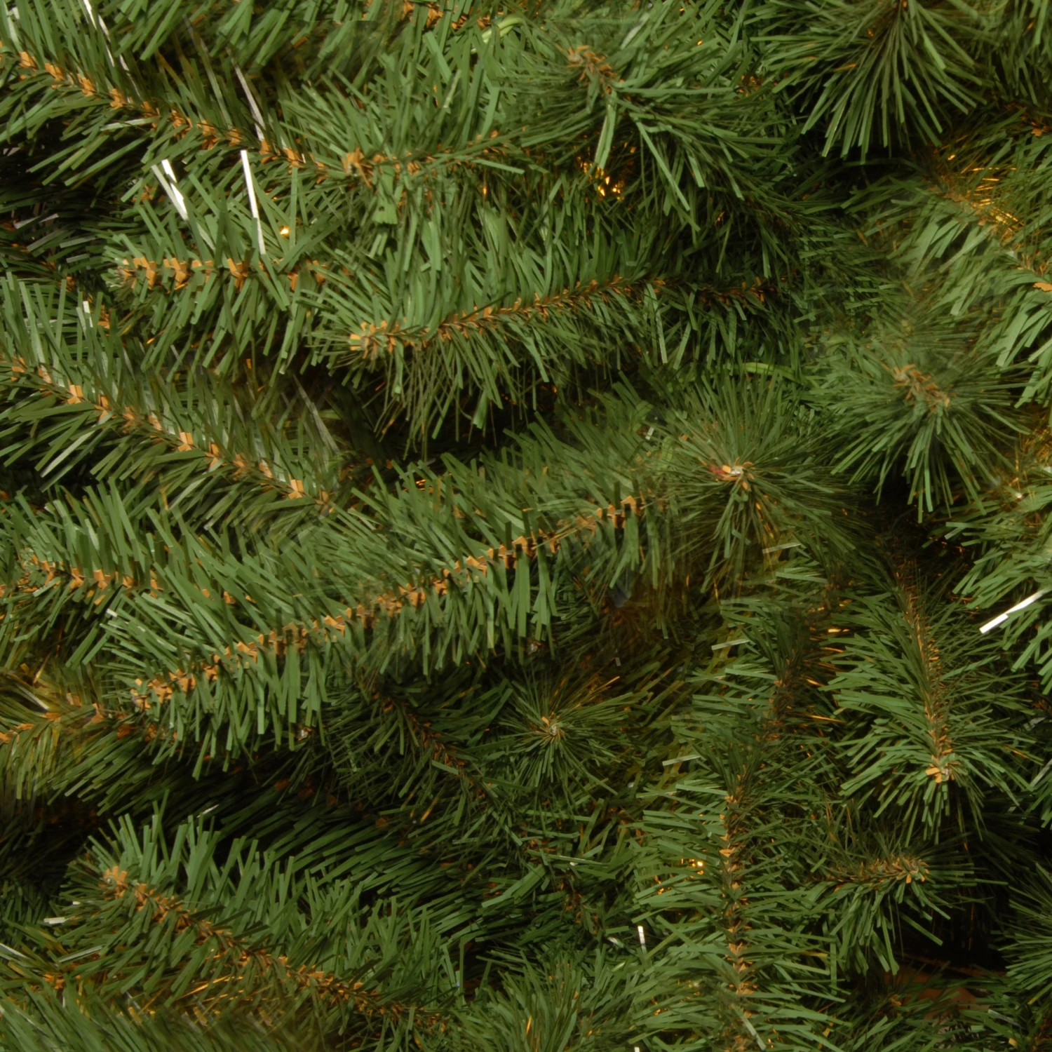 3 Ft. Kincaid Spruce Tree 3 3 Ft. Kincaid Spruce Tree - Image 3